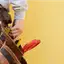 Handyman repair service in Mesa, AZ for home fixes and improvements